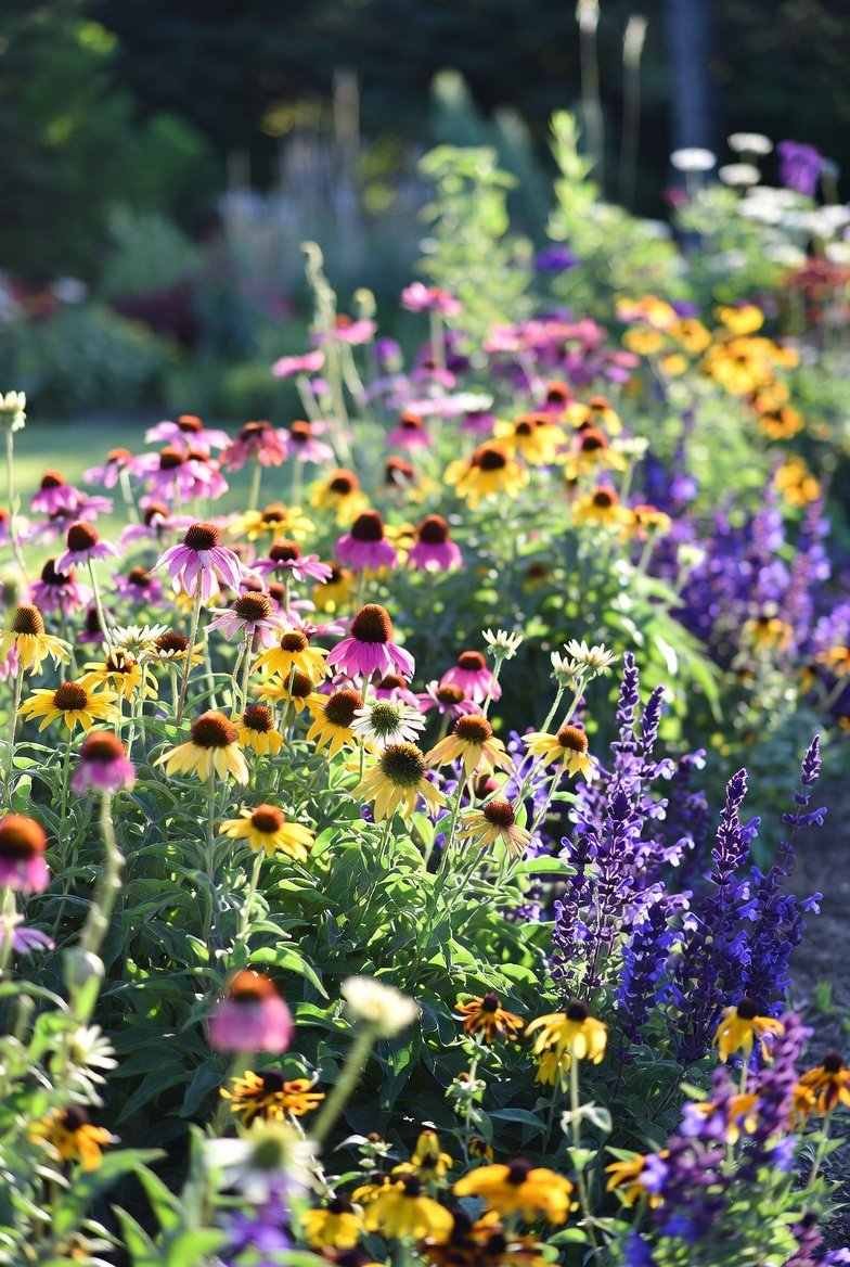 Build Your Backbone With Perennials, Not Annuals
