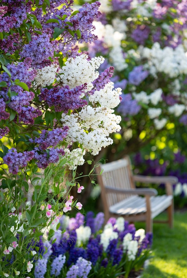 Choose Bare-Root Plants for Shrubs and Trees Early in the Season