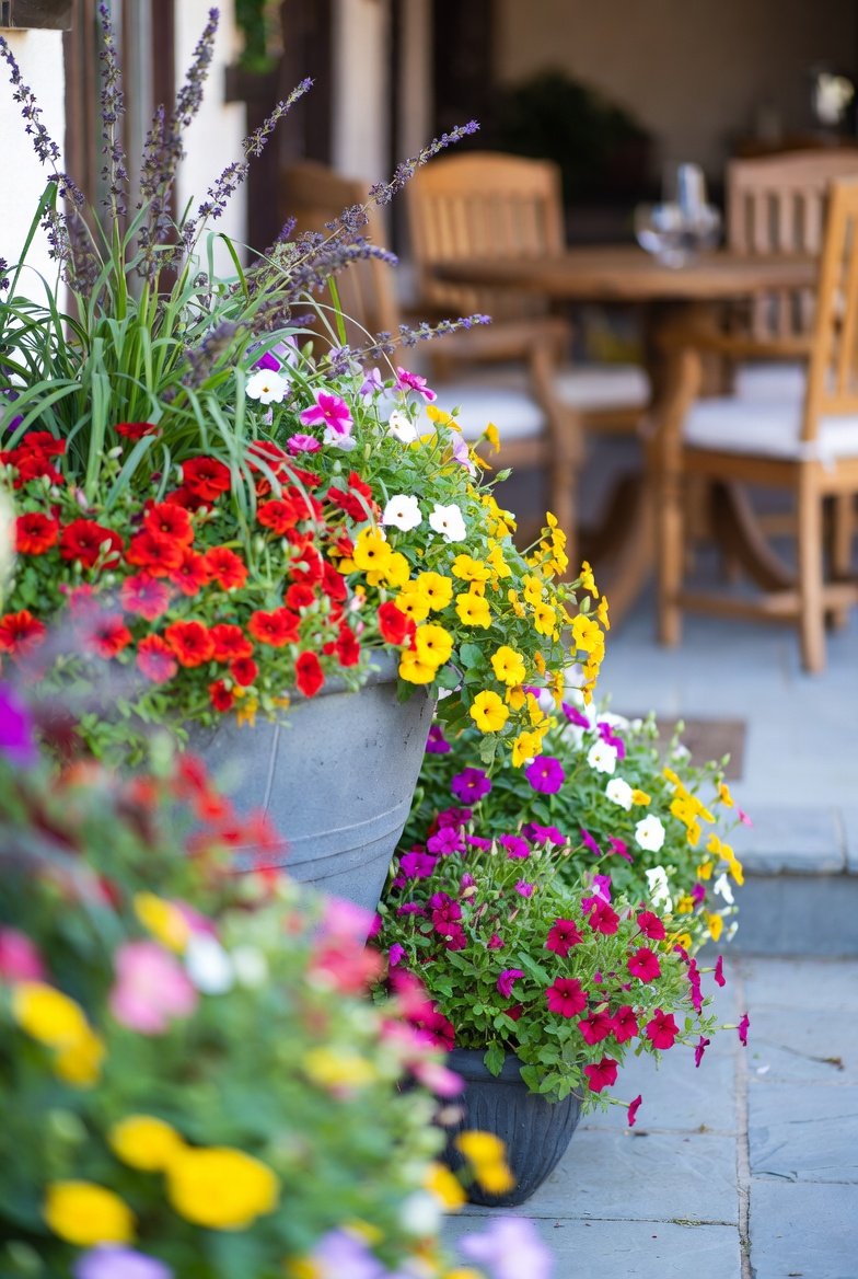  Use Containers for High-Impact Color Instead of More Beds