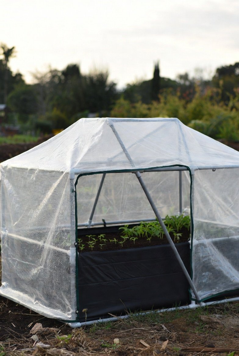 PVC Frame Bed With Removable Cover
