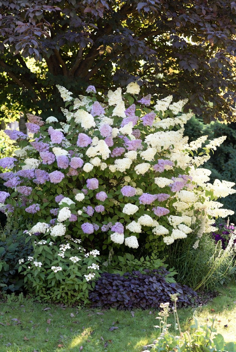 Anchor Corners With Larger Shrubs