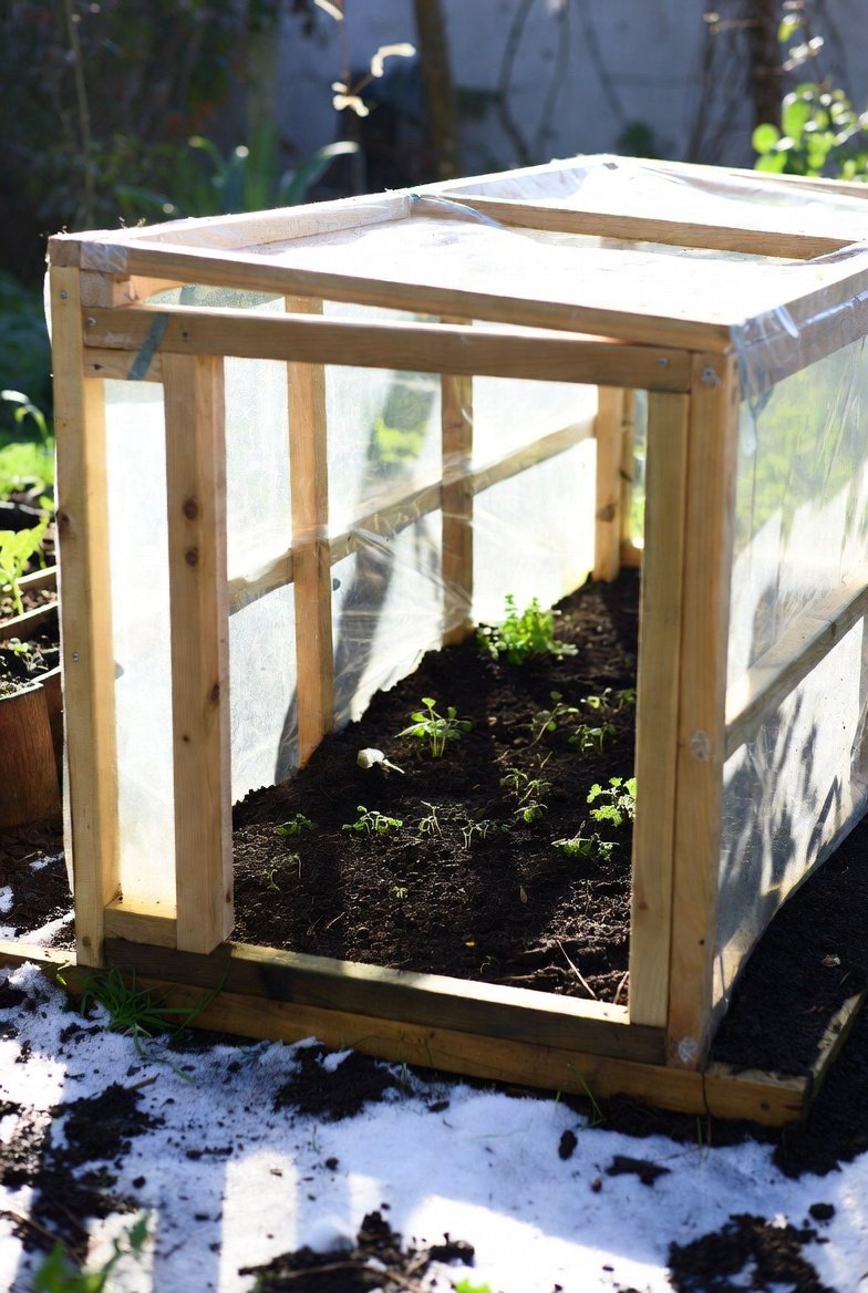 Use a Cold Frame to Extend Your Growing Season