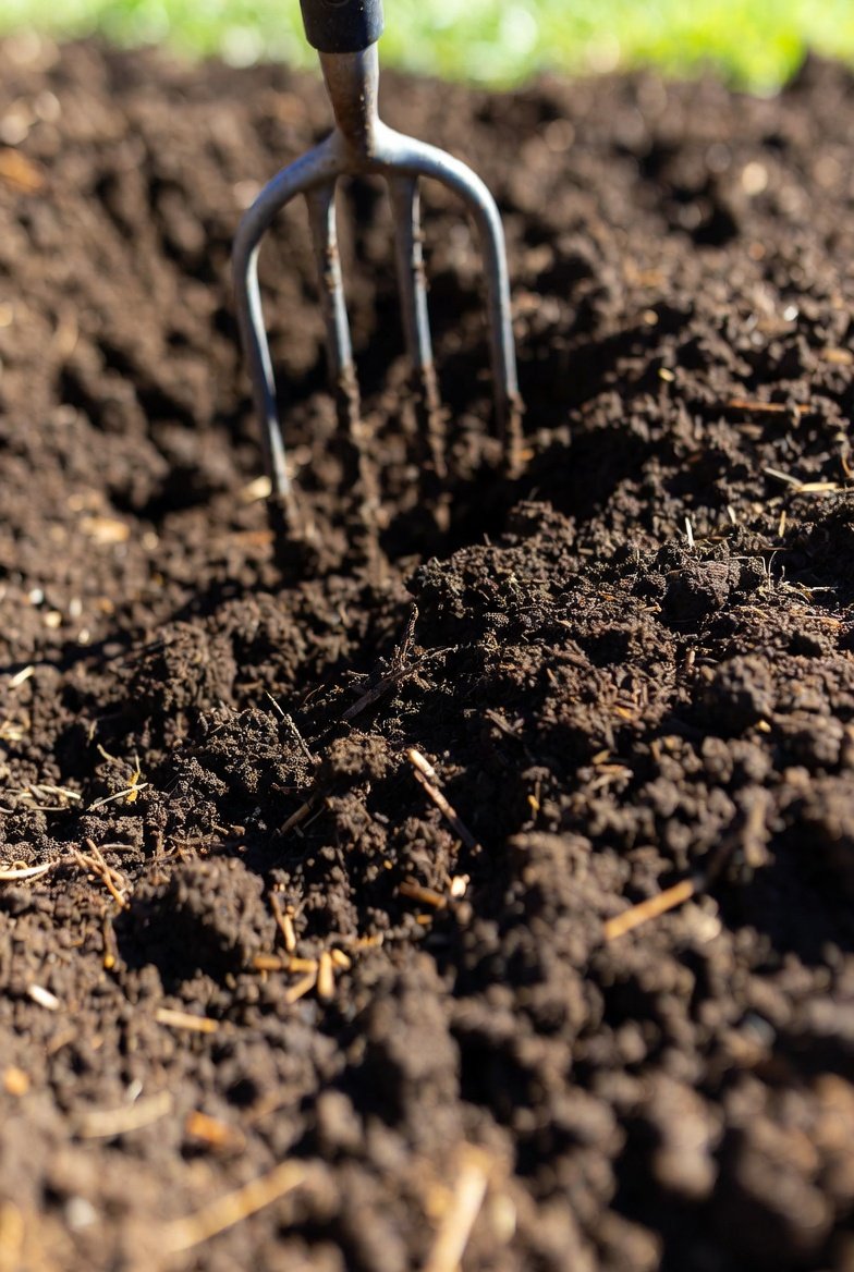 Prep Your Soil Before Anything Goes in the Ground