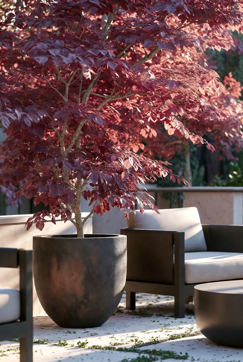 Add a Small Tree in a Statement Planter