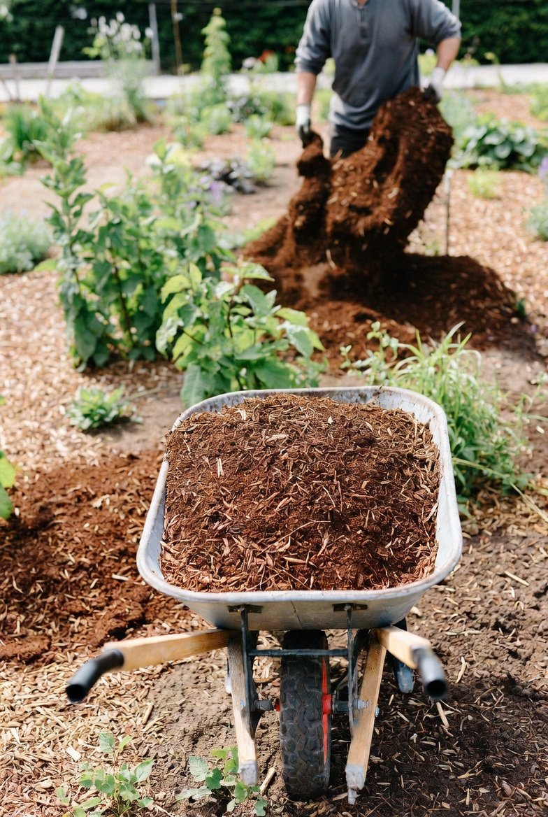 Source Free Mulch From Local Tree Services