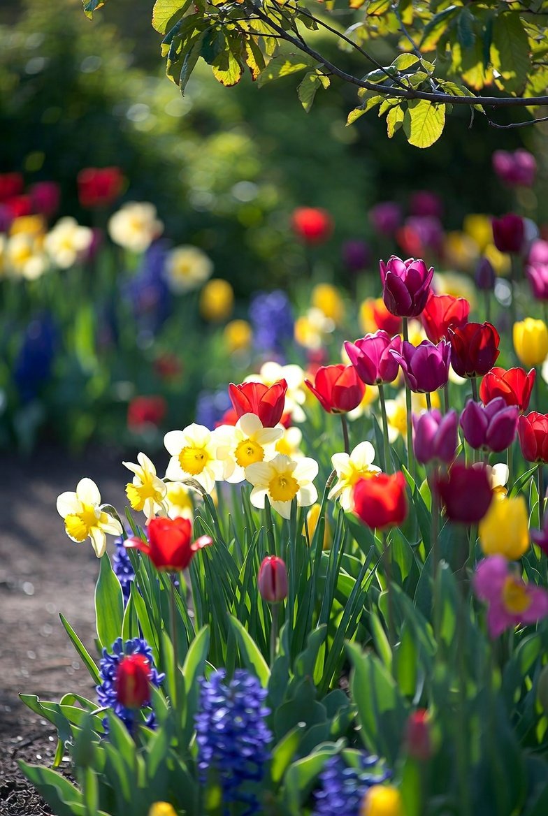 Use Bulbs for Nearly Foolproof Color