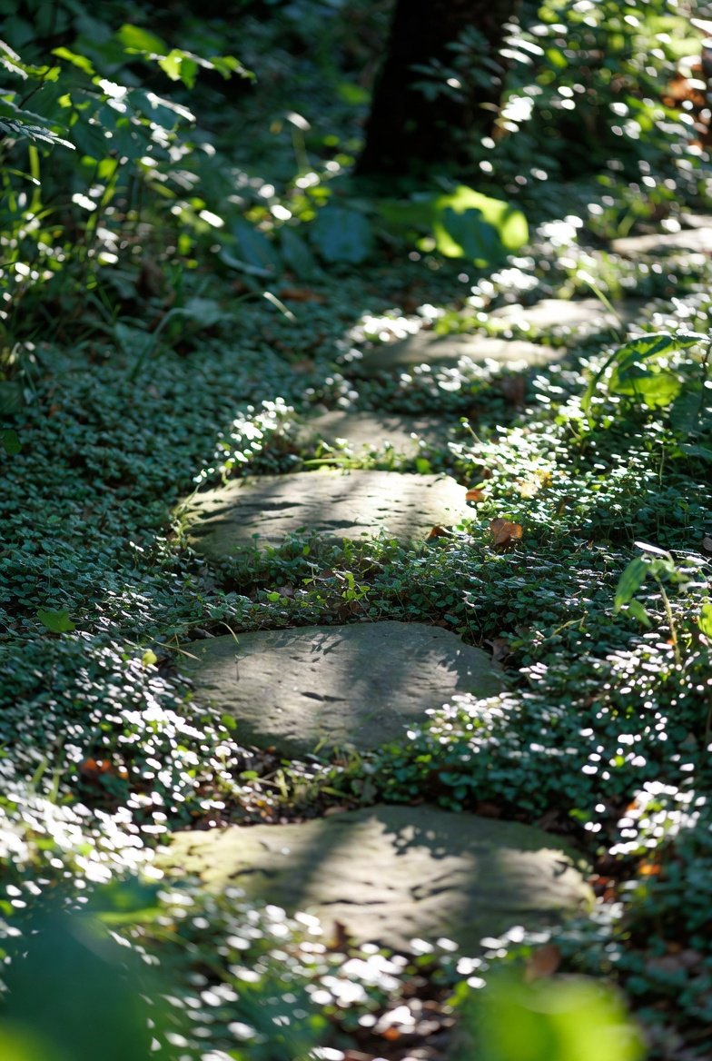 Use Permeable Pavers and Gravel for Walkways
