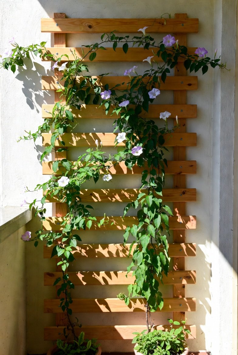 Build a Simple Wall Trellis for Climbers